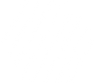 Noise