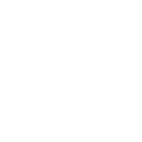city-impacts-councils
