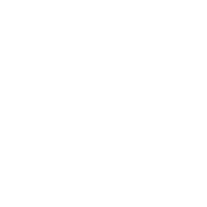 coin 2